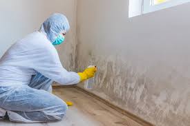 Why You Should Choose Our Mold Remediation Services in Geronimo, OK