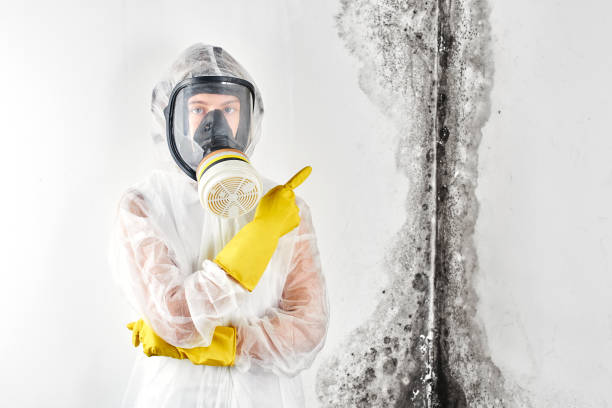 Mold Removal for HVAC Installations in Geronimo, OK